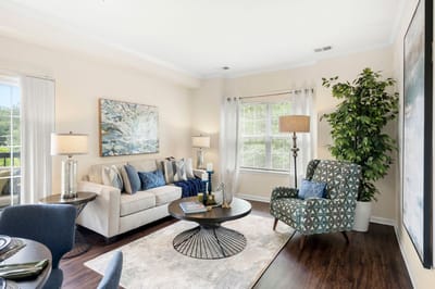 Bright and inviting interior living space with plants