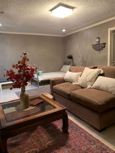 Cozy interior space with brown couch and decorative plants