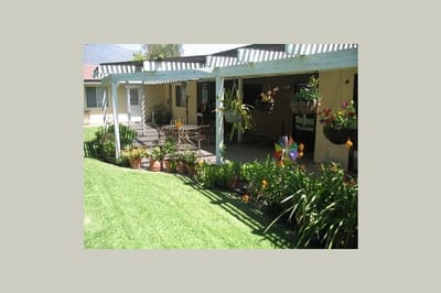 Outdoor space with potted plants and seating area