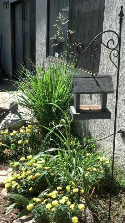 Flower garden with a bird feeder and greenery