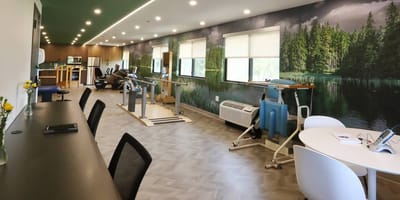 Fitness area with equipment and nature-inspired mural
