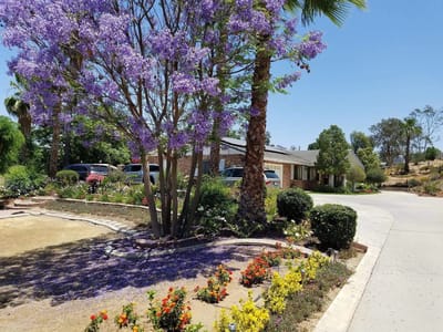 Colorful garden view with flowers and trees outside the facility