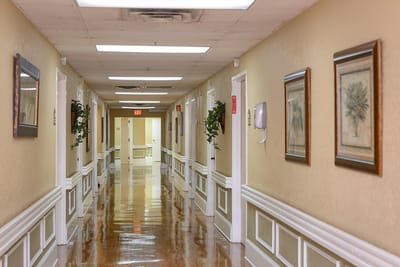 Well-lit corridor with framed artwork and plants
