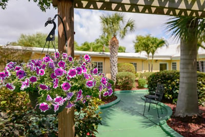 Beautiful flowers in a garden area with a walkway