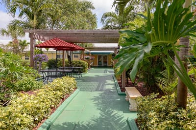 A serene outdoor space with seating and palm trees