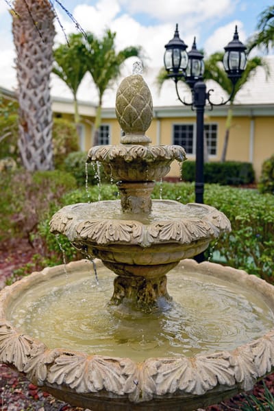 Beautiful fountain in a serene garden setting