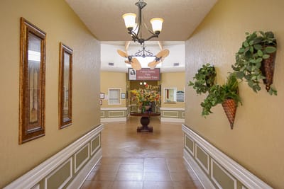 Bright interior hallway with decorative plants