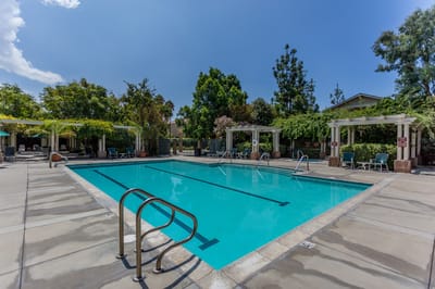 Resort-style swimming pool surrounded by greenery
