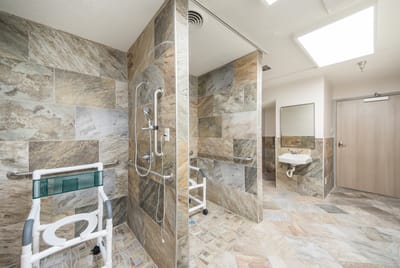 Interior view of an accessible shower area