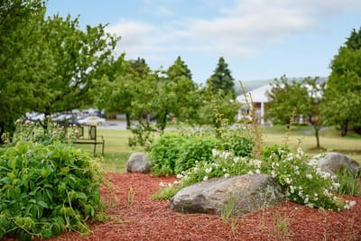 Beautiful outdoor garden area with flowers and rocks