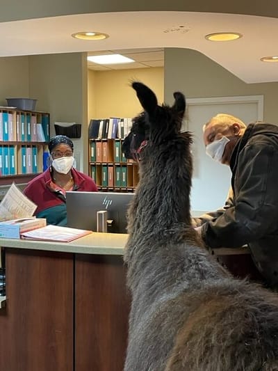 Staff member assisting a resident at the reception desk