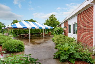 Outdoor seating area with a tent and greenery