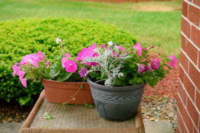 Colorful flower pots at a senior living facility entrance