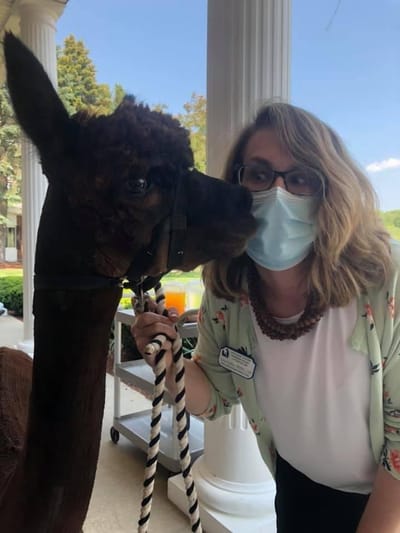 A staff member interacting with an alpaca outside
