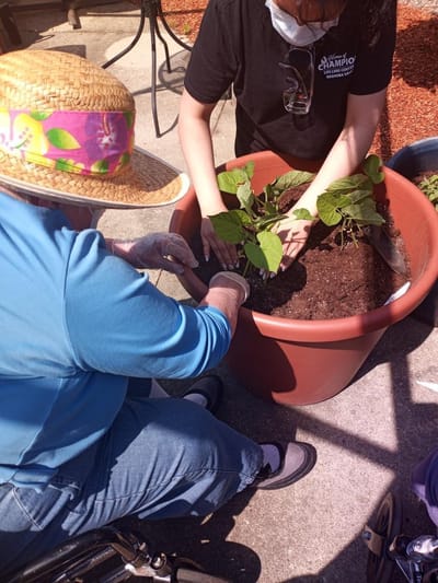 Residents engaging in gardening activity outdoors