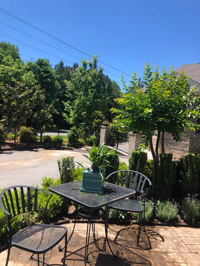Outdoor seating area with garden plants