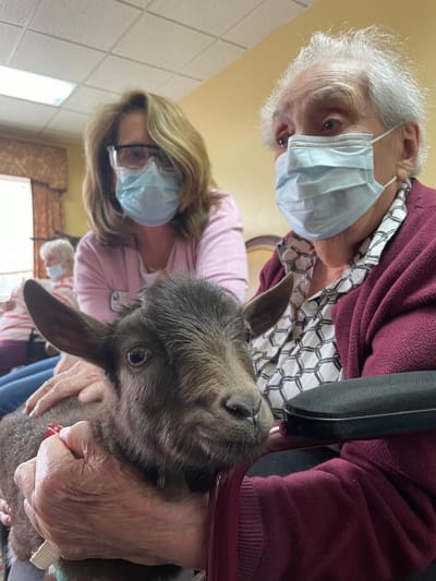 Residents interacting with a goat during an activity