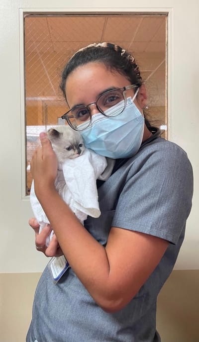 Staff member holding a kitten in a personal interaction