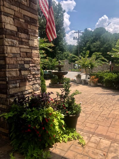 Outdoor view with potted plants and a fountain