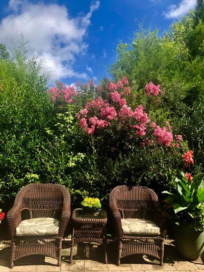 Chairs and plants in a serene outdoor space