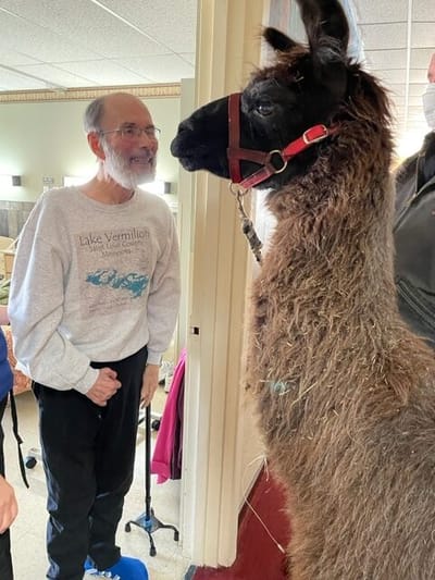 A resident smiling at a llama indoors