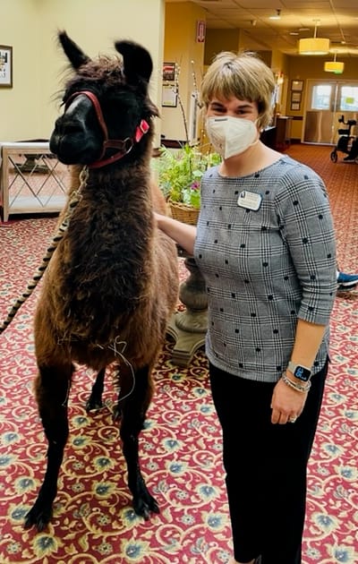 Staff member with a llama in the facility