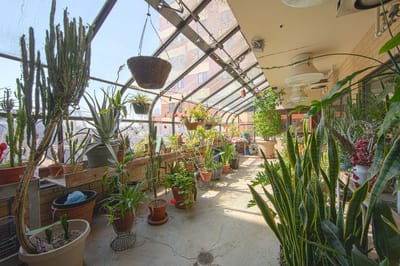 Indoor garden area with various plants and greenery