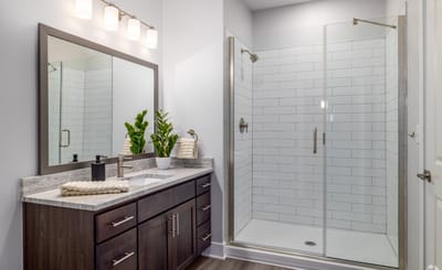 Modern bathroom with a glass shower and vanity