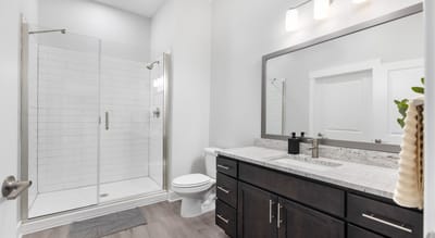 Modern bathroom interior with shower and vanity