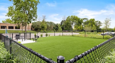 Outdoor space with grassy area and benches