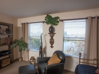 Cozy corner of a living area with natural light