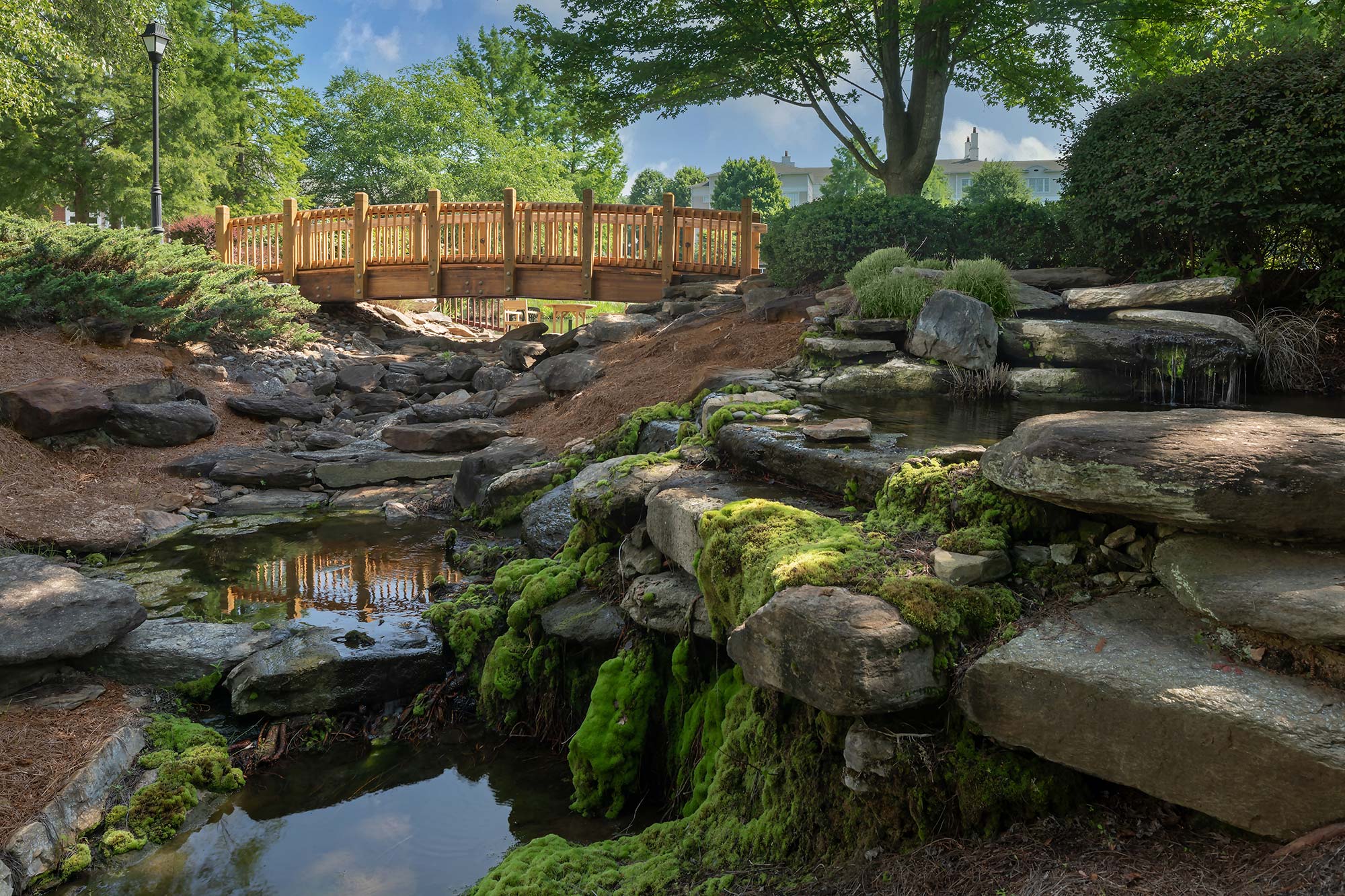 A serene outdoor bridge over a pond in a garden