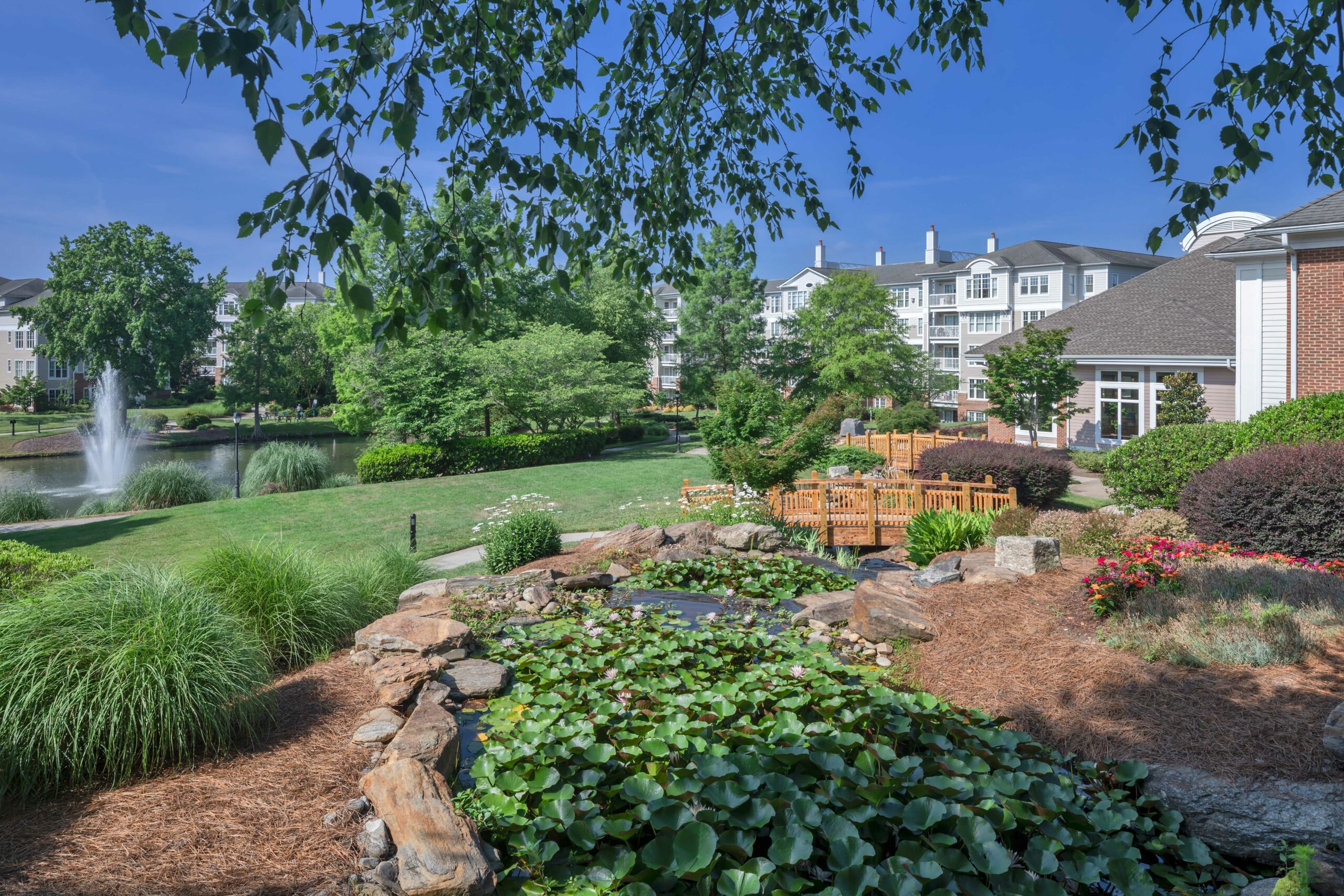 Beautiful landscaped outdoor area with a pond
