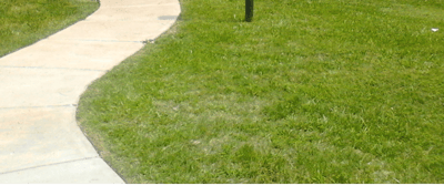 Curved pathway through green grass