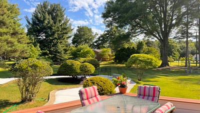 Well-maintained outdoor garden area with seating