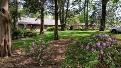 Lush outdoor space with flowers and paths