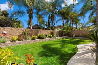 Well-maintained garden with palm trees and lawn