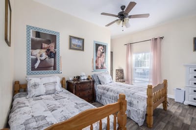 A cozy twin bedroom with dog artwork