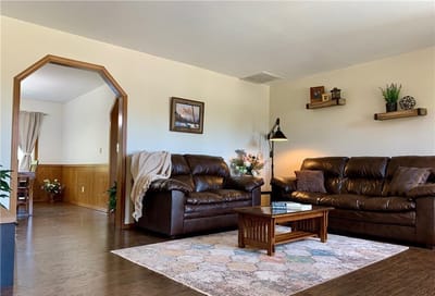 Cozy living room with brown sofas and decorative elements