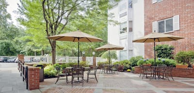 Outdoor seating area with umbrellas and garden