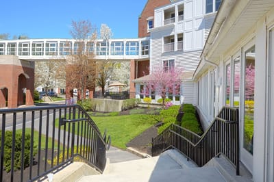 Outdoor view of the facility with blooming trees