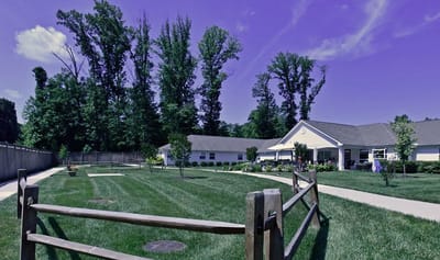 Outdoor space with greenery and walking paths