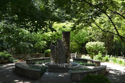 Serene outdoor garden with a stone seating area