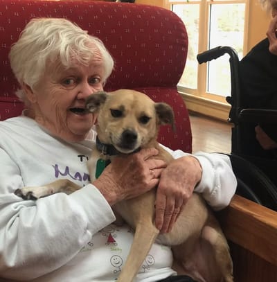 Elderly woman smiling with a dog in her lap