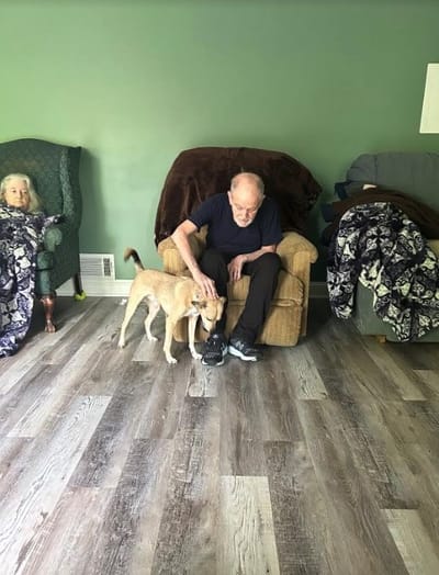 Elderly man interacting with a dog in a cozy sitting area