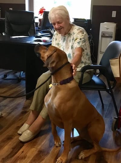 Resident interacting with a dog in the facility