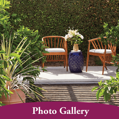 Outdoor seating area with plants and decor