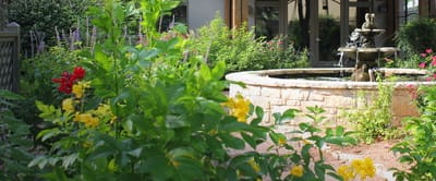 A peaceful outdoor garden with flowers and a fountain