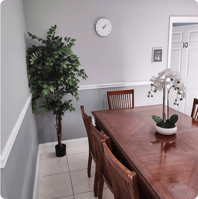 Modern interior of a dining area with a wooden table