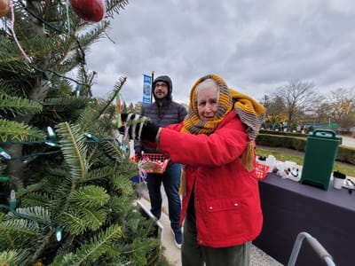 Resident decorating a Christmas tree outdoors